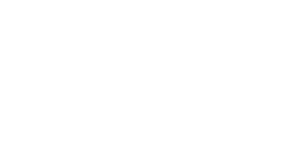 viebi-logo-variante-white-w1024